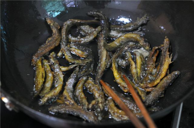 麻花鱼最爱吃什么食物，小麻花鱼也有特色