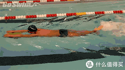 游泳教学零基础新手自由泳小技巧，自由泳的基础动作