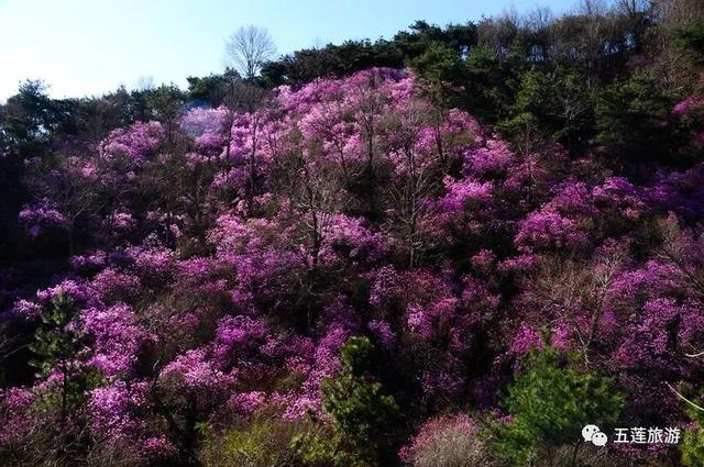 贵州六个小众山，徒步登山爱好者的天堂