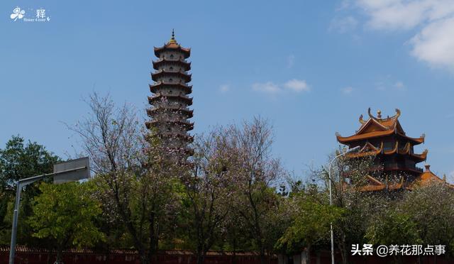 福建福州旅游攻略，福州旅游攻略自由行五日游（福建之福州游玩攻略）