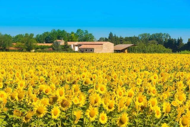 世界上最小陨石坑直径，俄一陨石坑钻石储量全球够用3000年