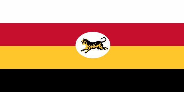泰国国旗历史怎么变化，泰国国旗演变