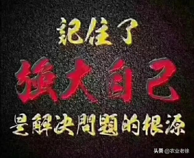 农村农田常见的施用肥料有哪些，越来越广泛被果农使用的肥料是什么