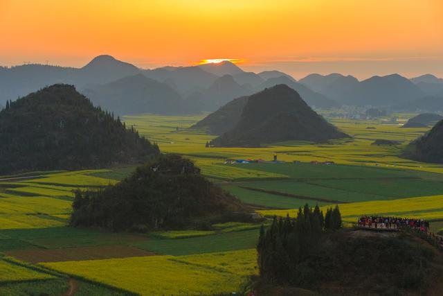罗平油菜花最佳时间，去罗平看油菜花攻略
