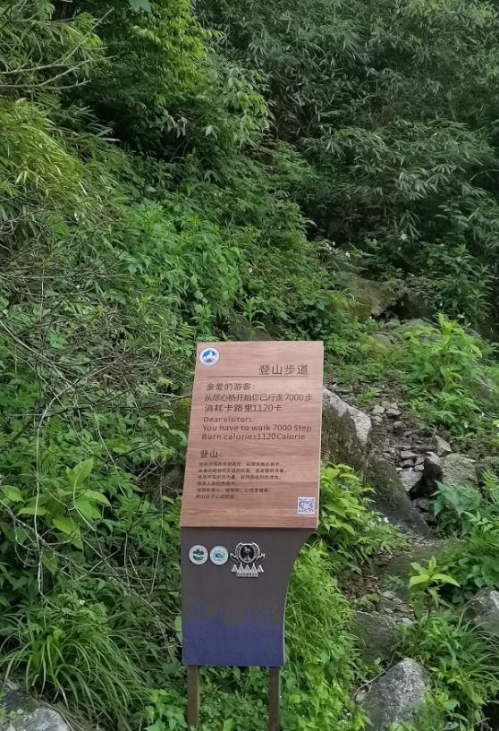 武功山旅游攻略，武功山旅游攻略一日游（江西武功山\u0026仙凤三宝亲子游记）