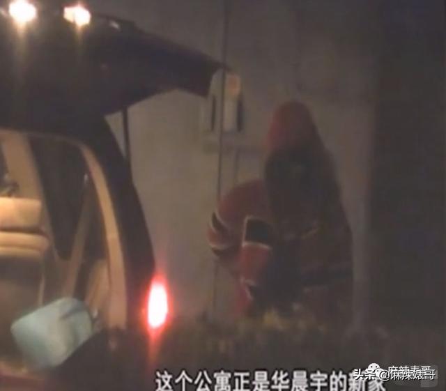 华晨宇和邓紫棋，邓紫棋对华晨宇的爱恨（华晨宇“扔下孩子不结婚”是有原因的）
