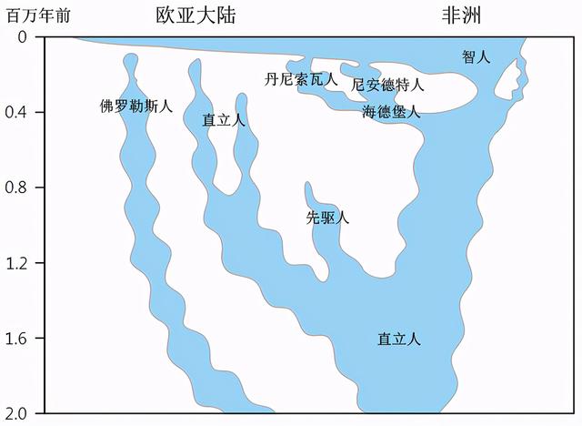 人类未解之谜龙真的存在吗，与人类亲缘最近的古人类或被发现