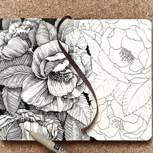 妙笔生花水墨画教程，教科书级别的植物线描