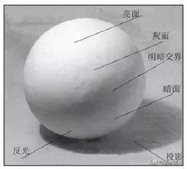 学画画零基础先学什么，零基础素描应该先练什么（零基础绘画教程，值得收藏）