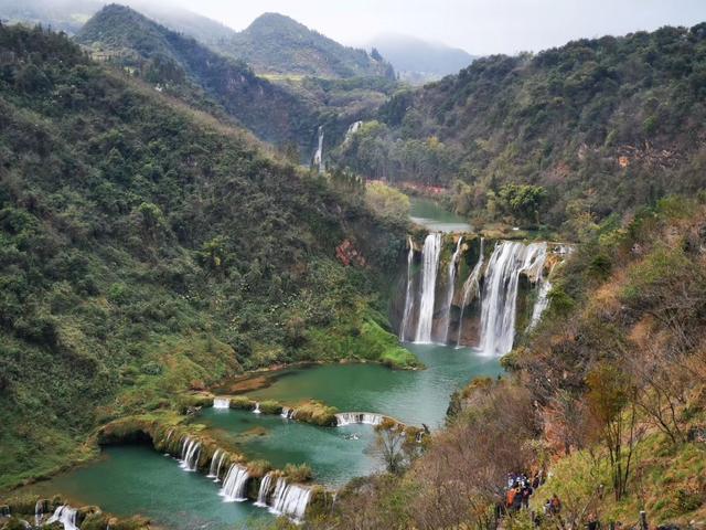 罗平油菜花最佳时间，去罗平看油菜花攻略