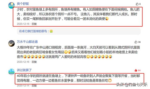 野生两条胡须的鲶鱼能吃吗，以便便为食的鲶鱼