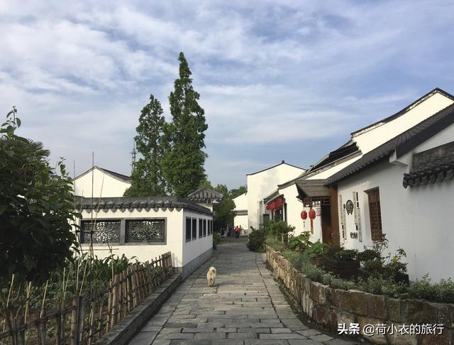 上海周边便宜的养老地方，住在普陀这个市级老年友好型社区是怎样一种体验