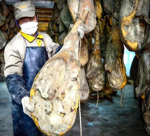 绿霉味道怎么去除肥胖(绿霉是怎么形成的)