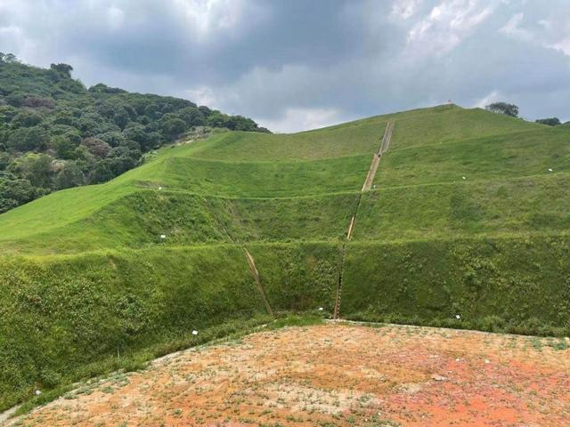 岩质边坡绿化技术，陡峭岩石披上绿衣