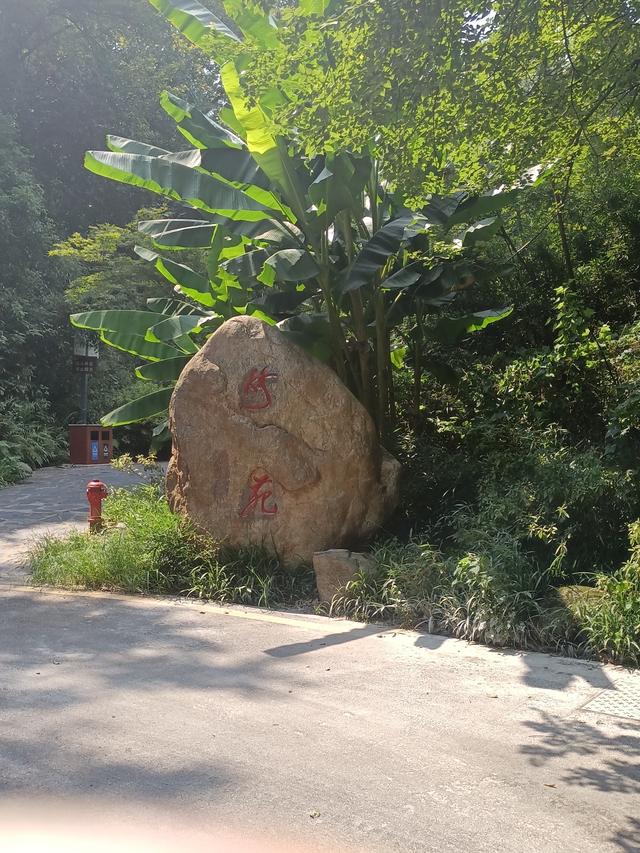 长沙市内十大公园，长沙本地人告诉你这10个地方不能少