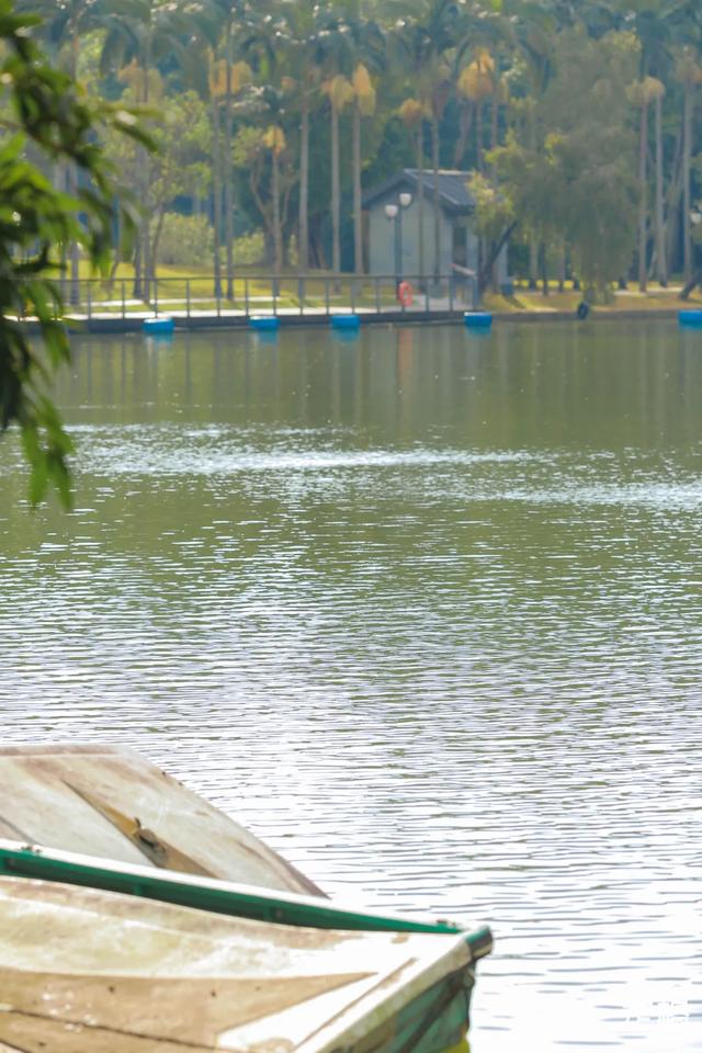 莲花山公园 网红打卡地，莲花山公园又红了