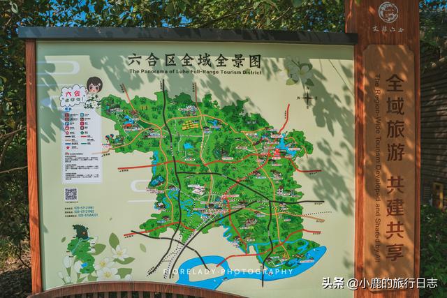 南京自驾旅游攻略最全，心灵洗礼与深秋拥抱