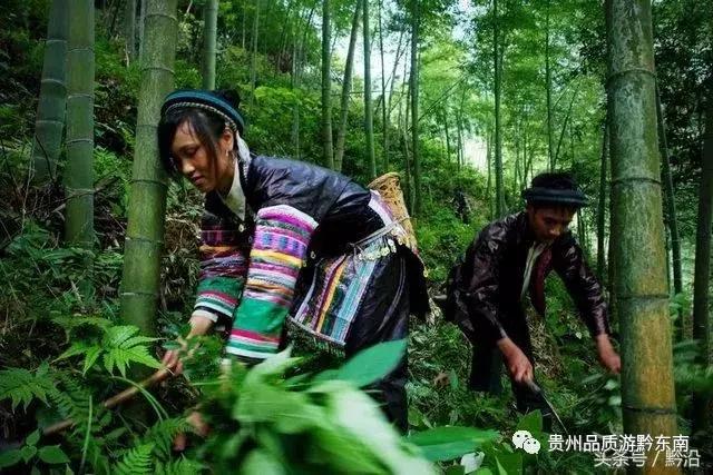 瑶浴什么地的最正宗，有中国“最神奇”的中医养生