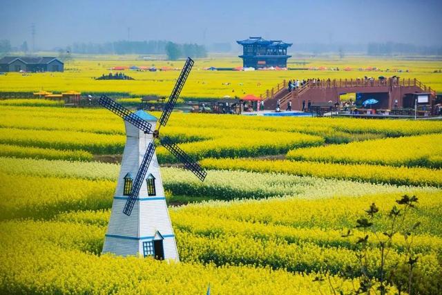 春天踏春赏花时间表，2023春日赏花踏青去哪