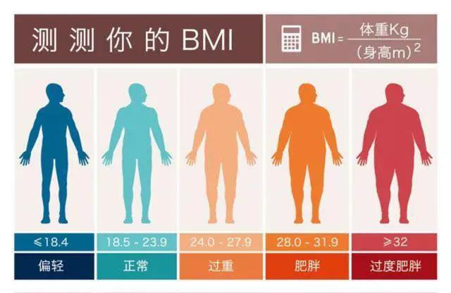 肥胖界(肥胖界定标准)