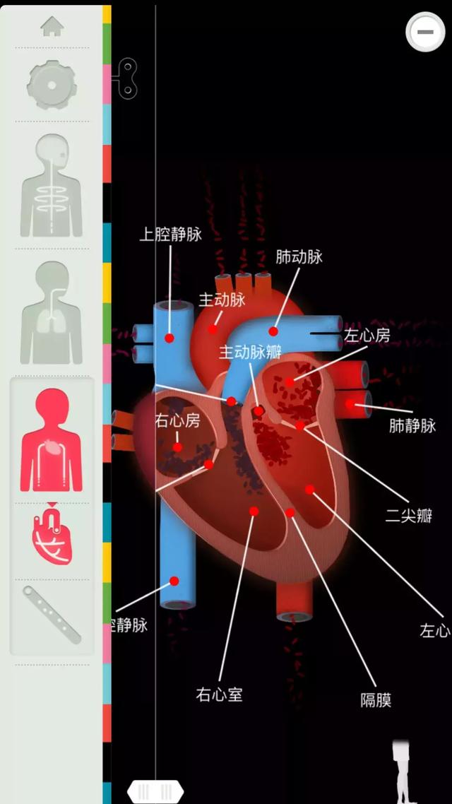 专门看星座的软件(有没有专门研究星座的软件)插图31