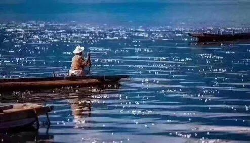 泸沽湖的海藻花几月份去最好，夏日云南美景可不止一点点