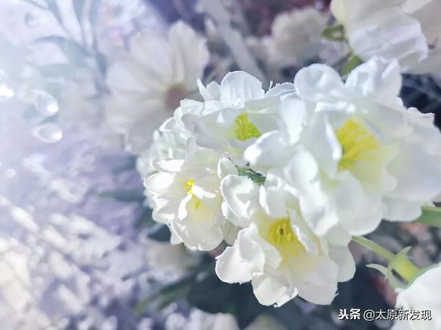成都求婚最好的方法，太原最火的求婚圣地