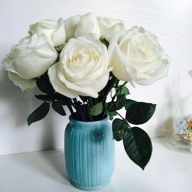 带刺的玫瑰花图片，玫瑰花带刺的品种（摄影#图片：多彩的刺玫瑰花…）