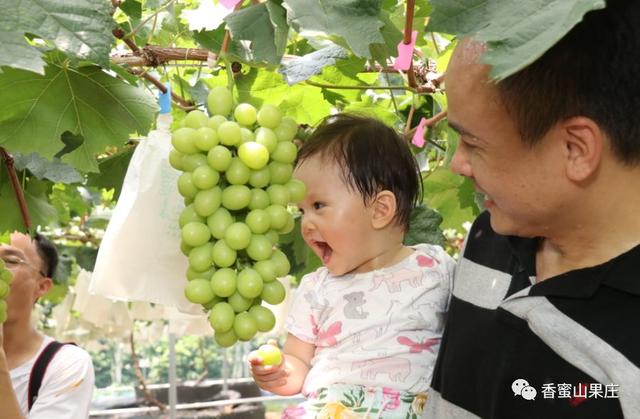 广州六一儿童节游玩推荐，儿童节溜娃不用愁