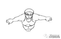 蛙泳腿蹬腿如何发力，蛙泳入门教学