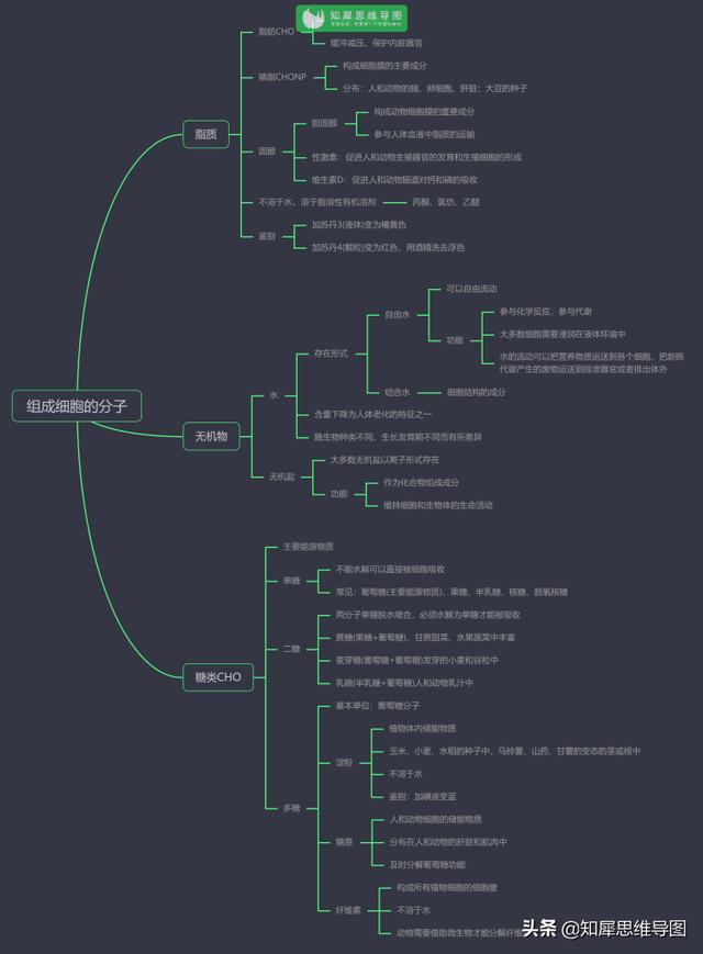 高中生物思维导图，高中生物思维导图简单11张（看透高中生物这20张思维导图）