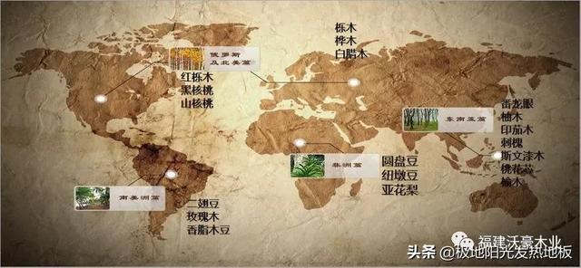 适合地热的实木地板板材，极地阳光带你探索深山选择发热地板的好木材