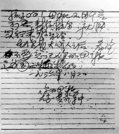 赵一曼的儿子宁儿，陈掖贤：赵一曼亲生儿子