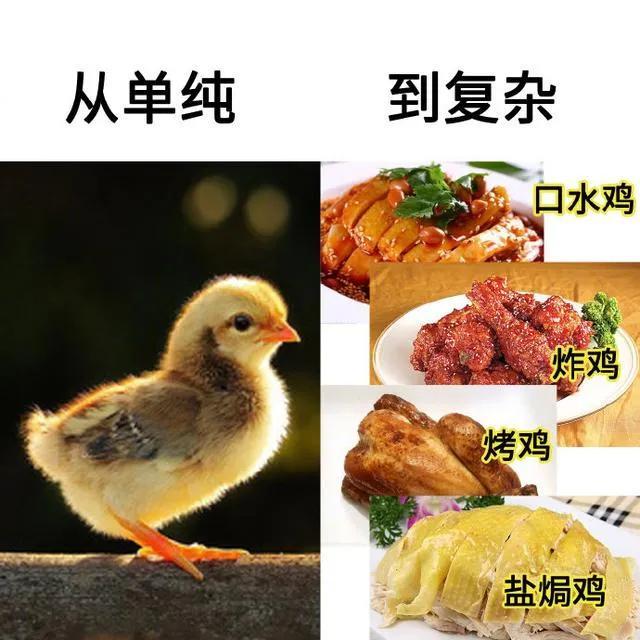 男人至死是少年下一句，男人至死皆少年下一句是什么