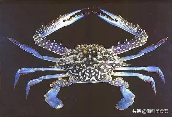 厦门特色海鲜排行榜，厦门人最喜欢的12种海鲜