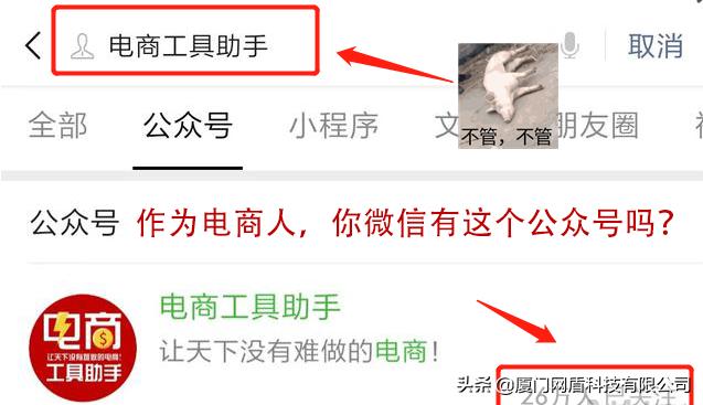 淘金币怎么获得，如何快速获得大量淘金币