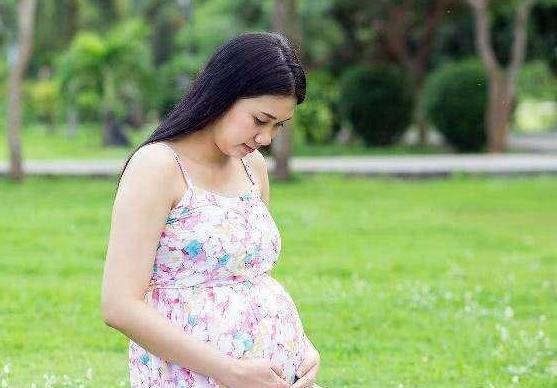 吉娜怀孕六个月后亮相，网友：这是我吃撑时候的肚子