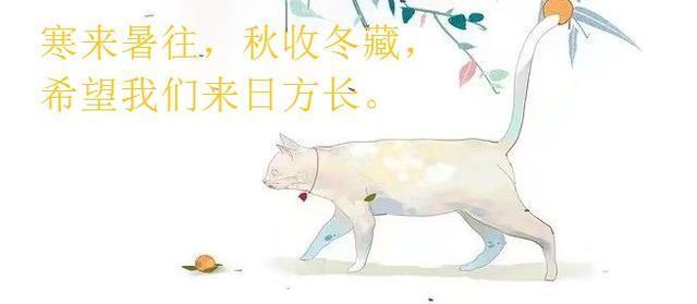 女主为了得到男主而不择手段，女主带着目的接近