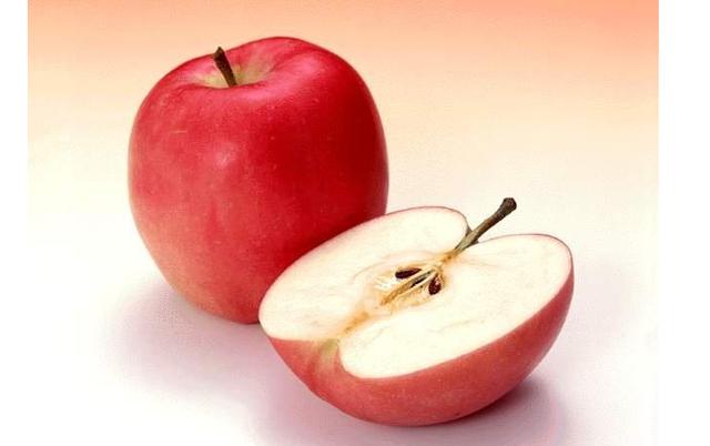 柯基吃的食物，这几种食物对柯基犬很