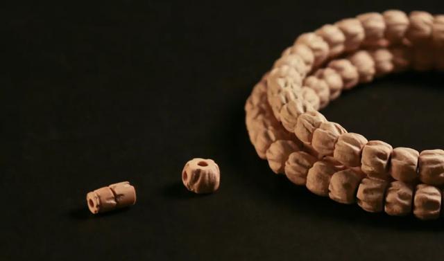 比较容易找到的树籽，不温不火的树籽