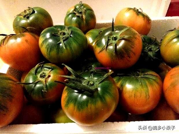 如何辨别正宗西红柿，教你几个挑西红柿的小技巧