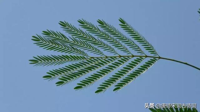 铜官窑瓷器题诗，最著名的十首爱情诗