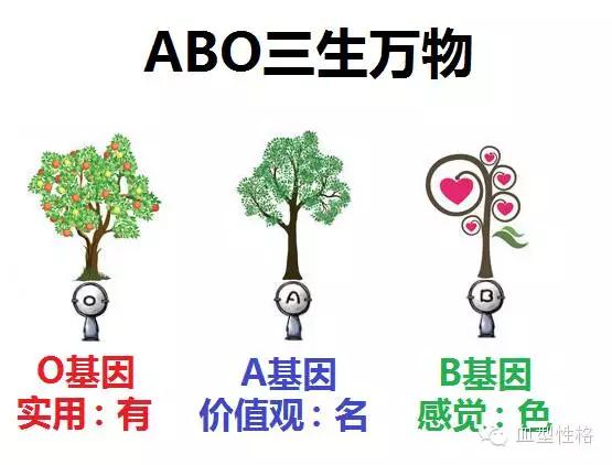 ABO什么血型，血型不同，患病风险也不同