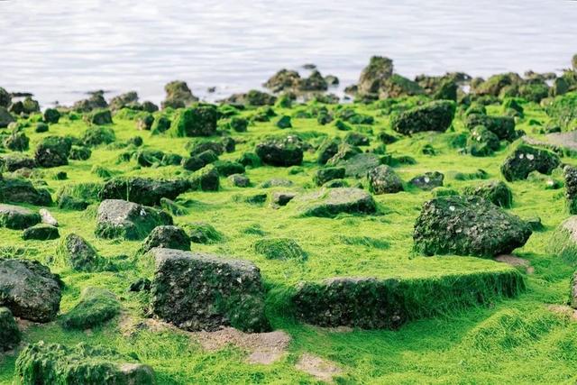 深圳哪个海边值得去，深圳私藏的10个看海好去处