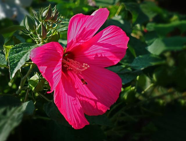 世上本无事庸人自扰之，古话说世上本无事庸人自扰之