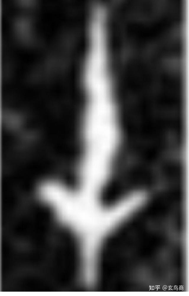 好甲骨文解读，获奖十万元的甲骨文