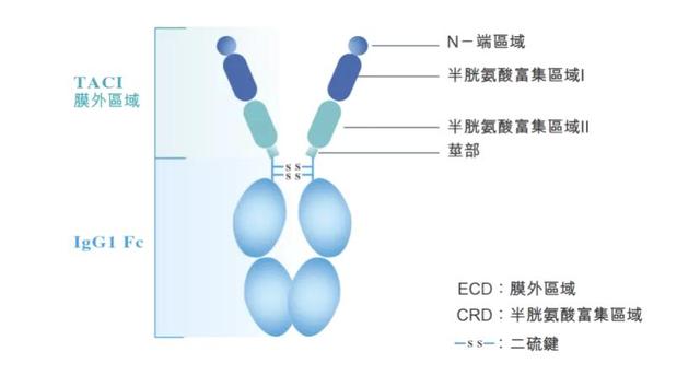 狼疮肾糖尿病(狼疮肾病严重吗)