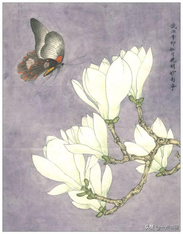 工笔荷花白描，高清工笔荷花白描 110幅