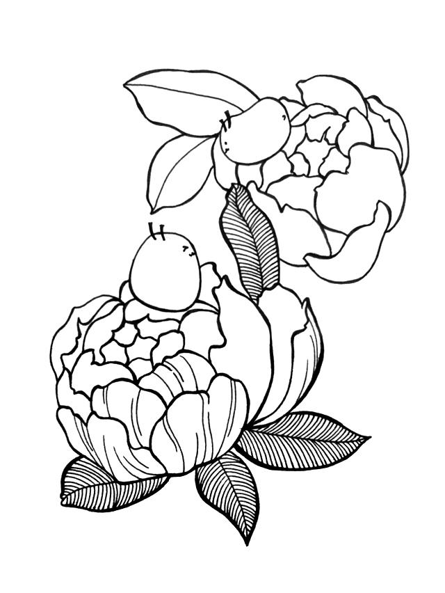 简单易学的画画，简笔画简单易学基础