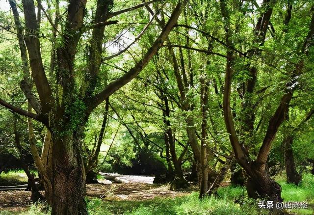 安徽滁州旅游景点哪里好，安徽滁州十大旅游景点
